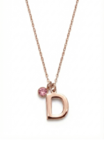 Harfli Ve Taşlı Kişiye Özel 925 Ayar Gümüş Kadın Kolye - Görsel 3